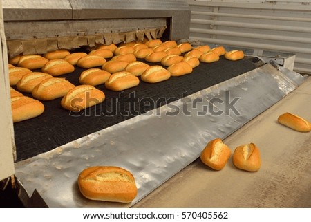 
Bread. Bakery. Bakery plant. Production of bread. Fresh white bread from the oven
