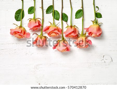 pink roses on white wooden table, top view