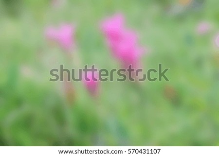 Blurred beautiful flower field abstract background