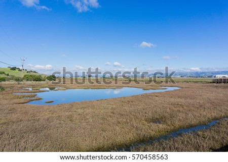 Marsh in Don Edwards wildlife refuge, Coyote Hills Regional Park in the background, Fremont, San Francisco bay area, California