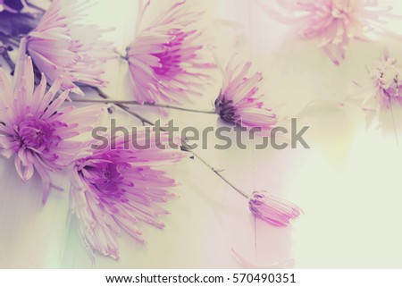 Blurry Flowers with shadow of wooden battens on white wooden table background on Valentine's Day times with copy space.