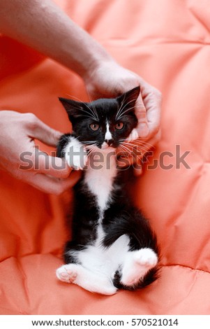 Man holding a black and white kitten