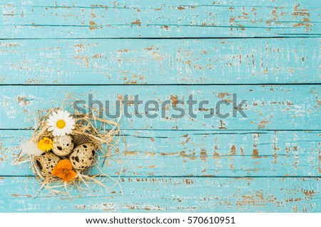 Small cute Easter nest, as greeting card, postcard, voucher and coupon.