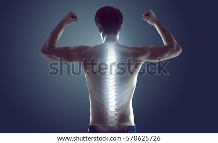 Strong spine Royalty-Free Stock Photo #570625726