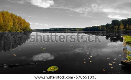 Black and white photo with the colored forest, a pier and water lilies. Big beautiful calm lake in the fall . It reflects the forest and clouds.