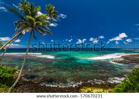 Tropical volcanic beach on Samoa Island with many palm trees, South Pacific Royalty-Free Stock Photo #570670231