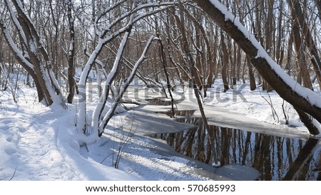 forest stream flows in landscape the winter forest nature snow