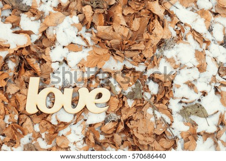 Wooden love sign on the ground with dry yellow leaves and snow. Autumn concept. Top view