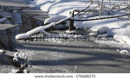 forest stream flows in landscape the winter forest nature snow,