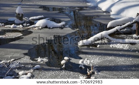 forest stream flows in the winter landscape forest nature snow,
