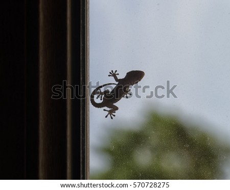 Silhouette of gecko that can be used as logo