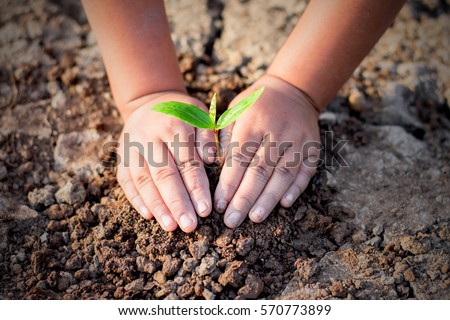 Two hands of the children are planting the seedlings into the soil, ecology concept. Royalty-Free Stock Photo #570773899
