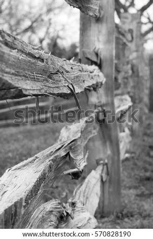 BLACK & WHITE IMAGE OF OLD WOODEN FENCE, SPLIT RAIL FENCE (The Image Has Shallow Depth Of Field)