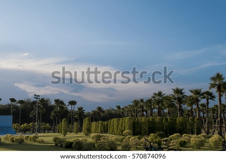 Beautiful garden with lots of palm tree