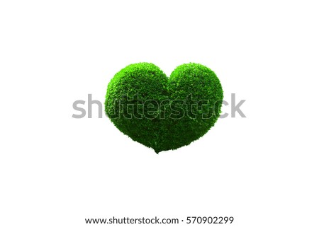 Heart leaf with white background to show love on Valentine's Day
