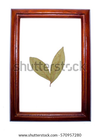 spices and bay leaves on white background