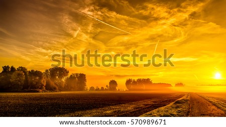 Bright future,glorious epic morning fine art foggy golden scenic autumn panoramic sunrise, misty fall landscape,path,horizon,tree,cloud,vintage painting,new happy day, golden future,success,hope
