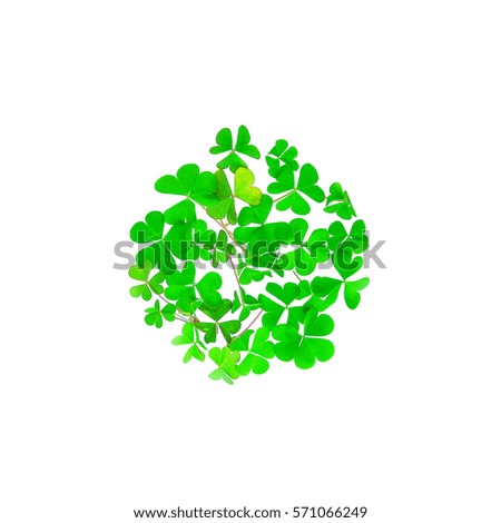 Shamrock piled in a circle isolated. Irish symbol. Ecology concept.  