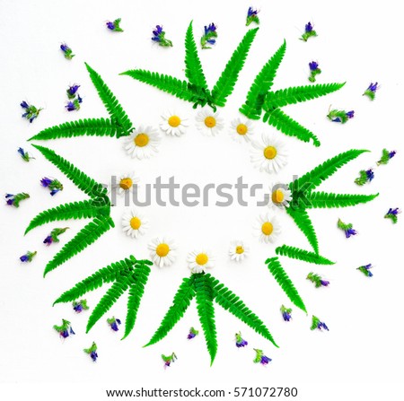 Wreath with chamomile, purple wild flowers and green fern on white background. Flat lay.