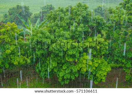 Nature and landscape with rain.