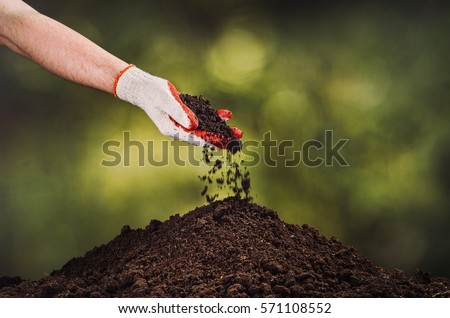 Hand pouring black soil on green bokeh background. Planting a small plant on a pile of soil or pouring soil during funeral. Gardening backdrop for advertising. Royalty-Free Stock Photo #571108552