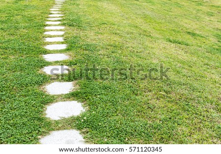 Walkway and green grass field background