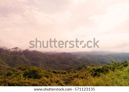 Mountain landscape view with the forest background