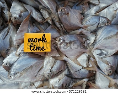 conceptual images of fish and word - Work time with selective focus/vintage/low light/bright