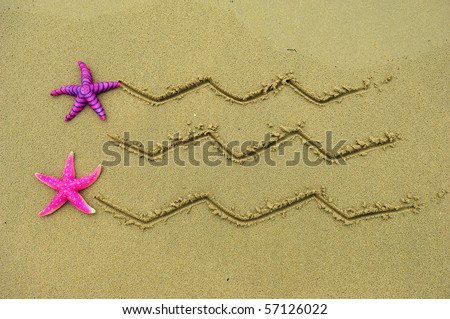 Sea frame with starfishes
