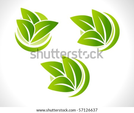 leaf illustration set