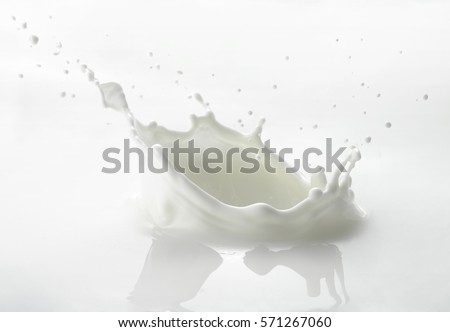 Pouring milk splash isolated on white background Royalty-Free Stock Photo #571267060