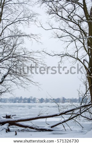 Moody winter landscape with bare trees and frozen lake, with snow-covered houses in background