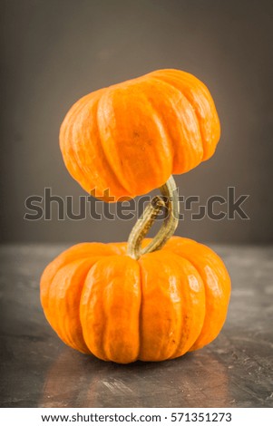orange decorative pumpkins on a gray background..