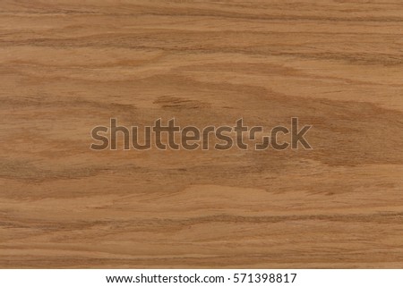 Texture of European Walnut with natural patterns. Extremely high resolution photo.