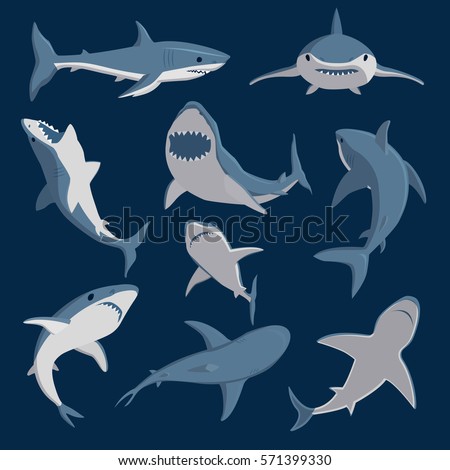 Vector shark comic style character wild fish set. Royalty-Free Stock Photo #571399330