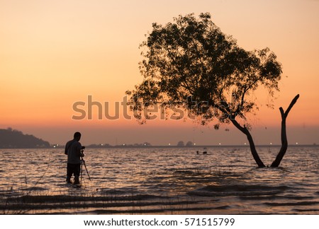photographer take photo of tree in water