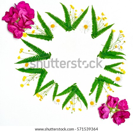 Wreath of chamomile, ranunculus and leaves of green fern on white background. Pink tea roses. Flat lay.