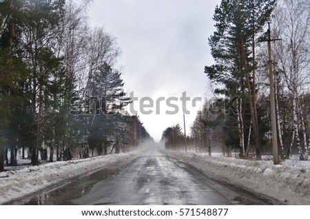 forest in fog, fog on a forest road in early spring