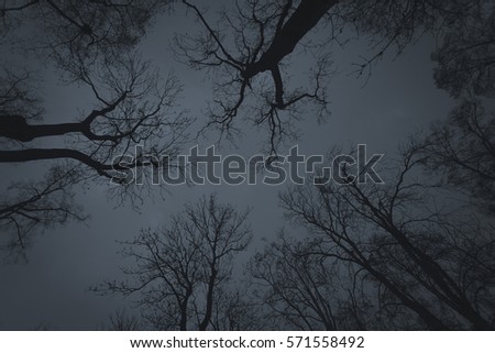 Spooky night trees. Royalty-Free Stock Photo #571558492