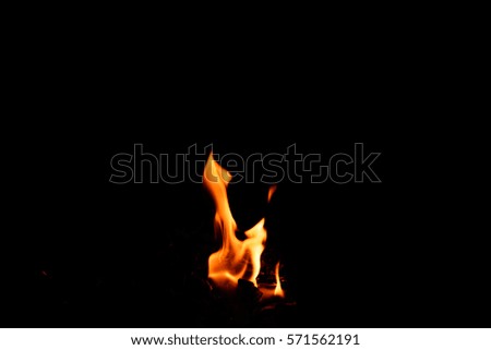 Fire flame on the black background.Fire in darkness.