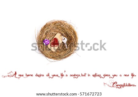 bird's nest or shelter, concept of a flat or apartment purchases
