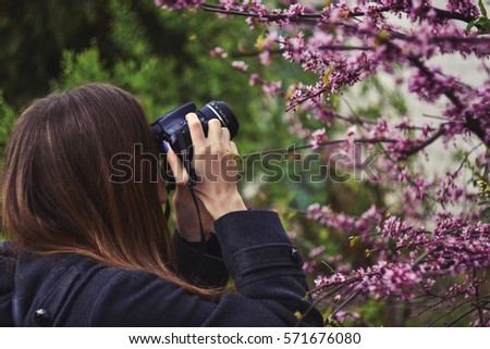 Girl taking photo of purple blossoming tree