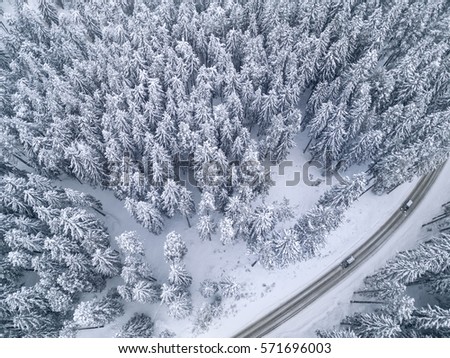 White snowy road with a car in the forest bird's eye view
