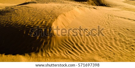 Golden sands of the desert. African untouched wild nature. Barchans and Sand Dunes. High resolution. Background and texture