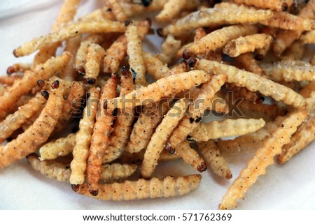 bamboo larvae / Fried insects