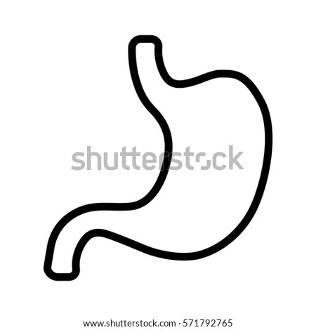 Human stomach line art vector icon for medical apps and websites