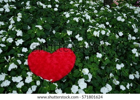 red heart on the flower. Valentine day