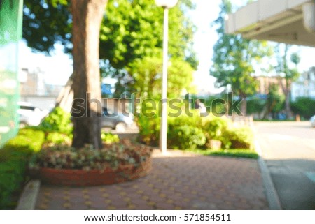 Picture blurred  for background abstract and can be illustration to article of tree in park