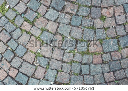 Stone colorful curved pavement.
