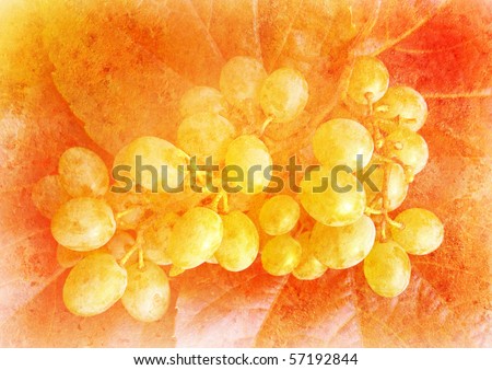 vine grape - vintage stylized picture with patina texture